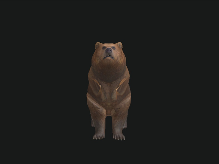 Bear skin