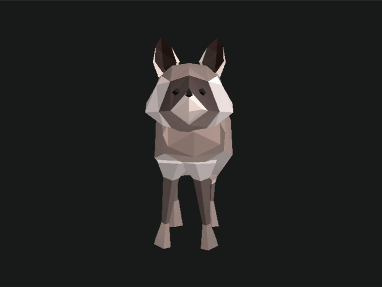 Raccoon skin